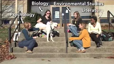 It's a Bulldog's Life